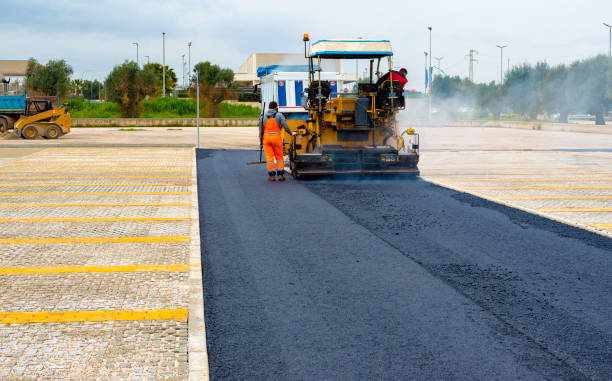 Best Residential Paver Driveway  in Cologne, MN