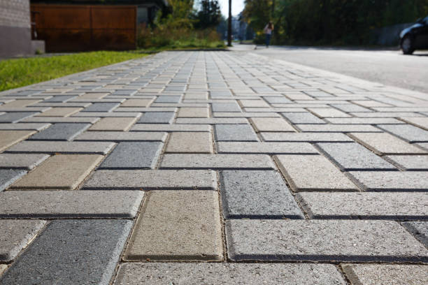 Best Professional Driveway Pavers  in Cologne, MN