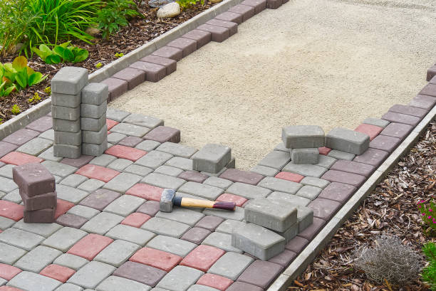 Best Driveway Pavers Near Me  in Cologne, MN