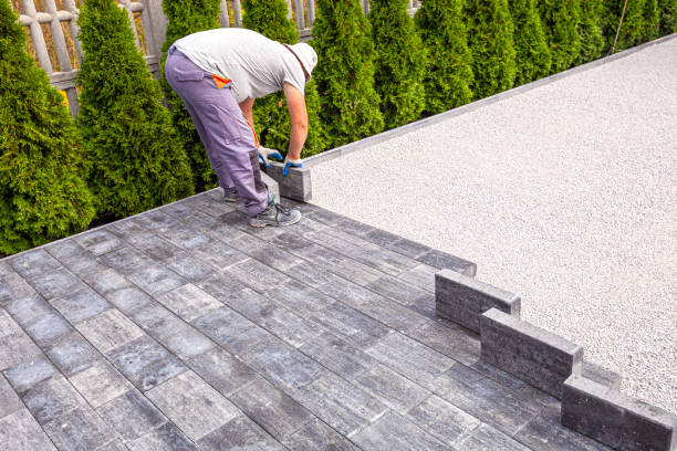 Best Decorative Driveway Pavers  in Cologne, MN