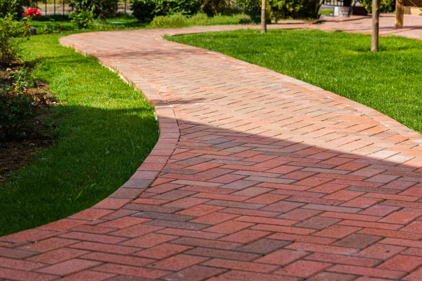 Best Local Driveway Pavers  in Cologne, MN
