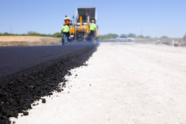 Best Driveway Paving Contractor  in Cologne, MN