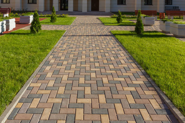 Best Best Driveway Pavers  in Cologne, MN